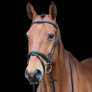 AB Hoofdstel met stiksels